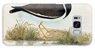 Lapwing Galaxy Cases