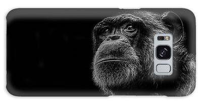 Chimpanzee Galaxy Cases