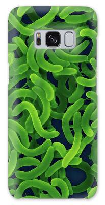 Vibrio Cholerae Galaxy Cases