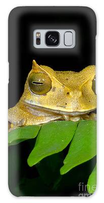 Dorsal Brood Pouch Galaxy Cases