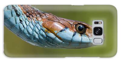 Garter Snake Galaxy Cases