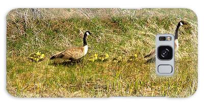 Designs Similar to Canadian Geese Family Stroll
