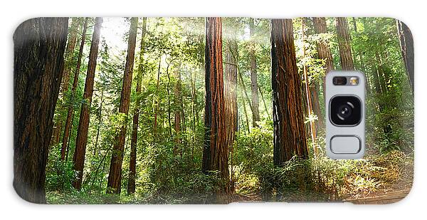 Muir Woods National Monument Galaxy Cases