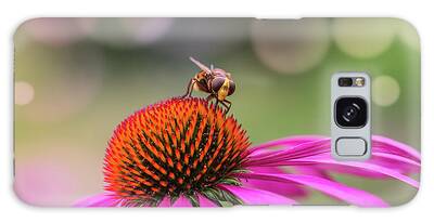 Hoverfly Galaxy Cases