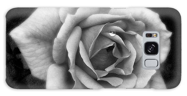 Designs Similar to Rose In Mono. #flower #flowers