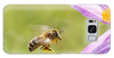 Bee In Flight Galaxy Cases