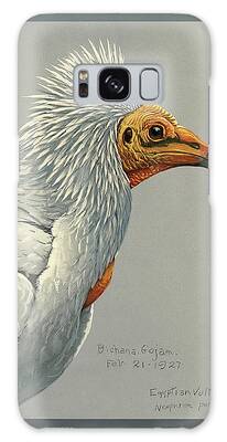 Egyptian Vulture Galaxy Cases
