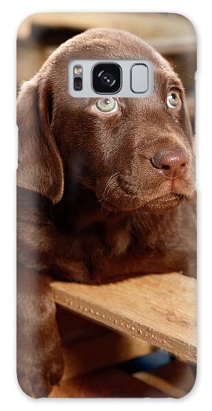 Puppy Lying Down Galaxy Cases