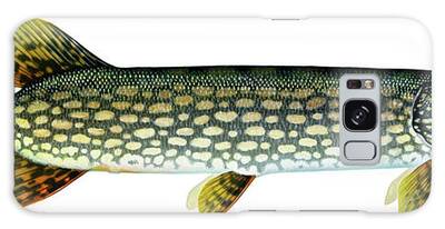 Northern Pike Galaxy Cases