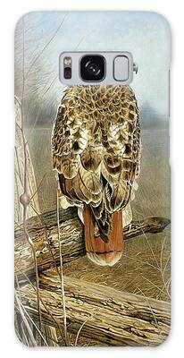 Red Tail Hawk Galaxy Cases