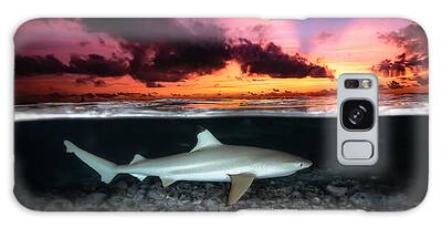 Reef Sharks Galaxy Cases