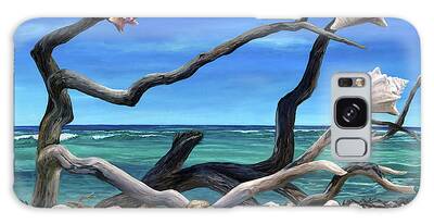 Dry Tortugas National Park Paintings Galaxy Cases
