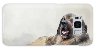 Leonberger Galaxy Cases