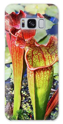 Pitcher Plant Pond Galaxy Cases