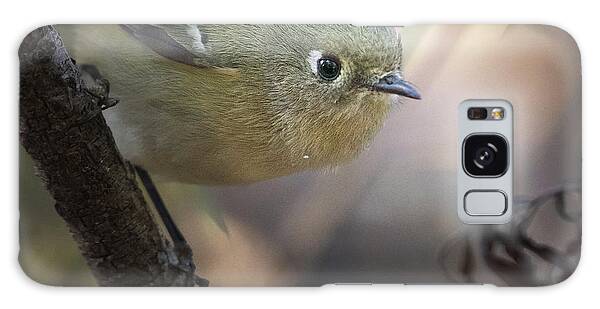 Ruby-crowned Kinglet Galaxy Cases