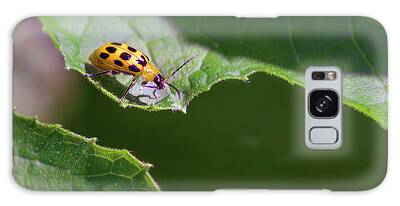 Spotted Cucumber Beetle Galaxy Cases