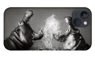 Hippopotamus iPhone Cases