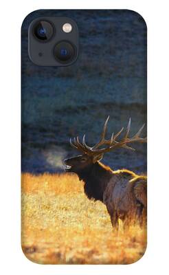 Wyoming iPhone Cases