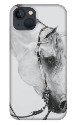 Rodeo iPhone Cases