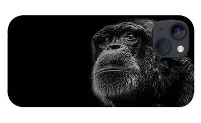 Chimpanzee iPhone Cases