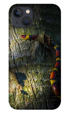 Coral Snake iPhone Cases