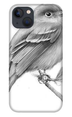 Flycatcher iPhone Cases
