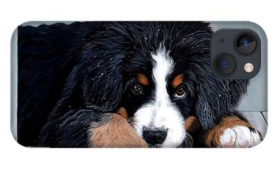 Bernese Mountain Dog iPhone Cases
