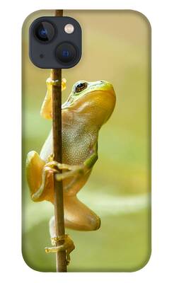Frog iPhone Cases