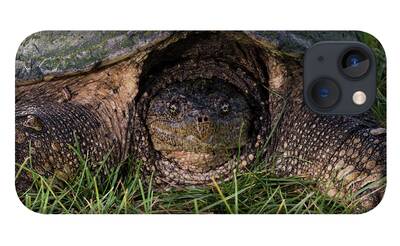 Snapping Turtle iPhone Cases