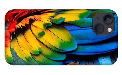 Macaw iPhone Cases