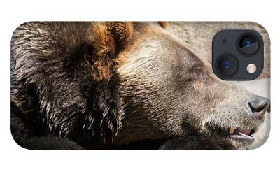 Bear Claw iPhone Cases