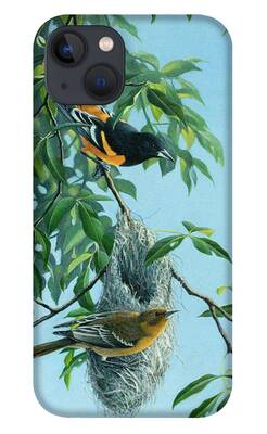 Oriole iPhone Cases