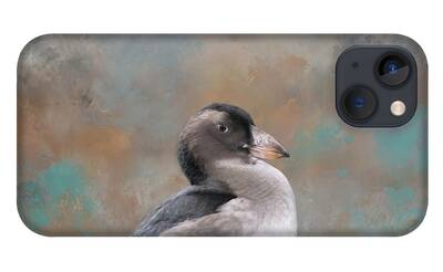 Auklets iPhone Cases