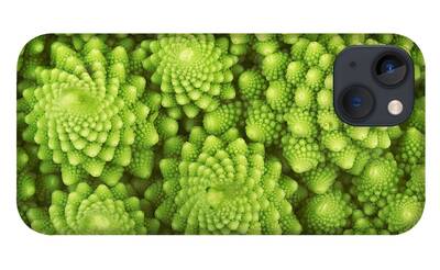 Cauliflower iPhone Cases