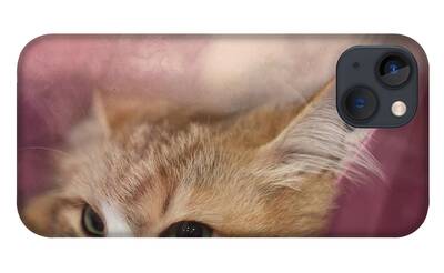 Siberian Cat iPhone Cases