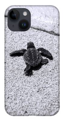 Sea Turtle iPhone Cases