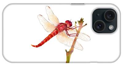 Red Dragonfly iPhone Cases