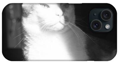 Grey Cat iPhone Cases