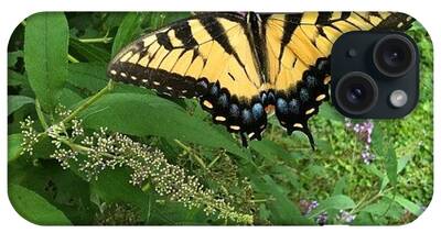 Butterfly Bush iPhone Cases