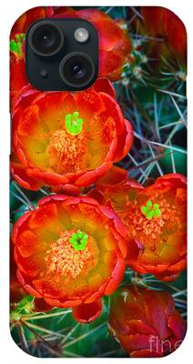 Designs Similar to Claret Cup by Inge Johnsson