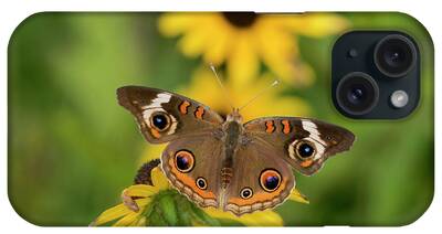 Butterfly On Black Eyed Susans iPhone Cases