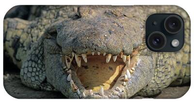 Crocodylus Sp iPhone Cases