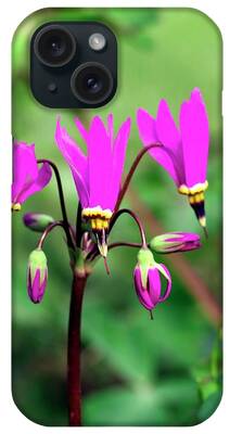 Dodecatheon Meadia iPhone Cases