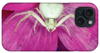Crab Spider iPhone Cases