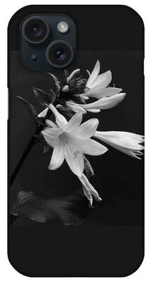 Plantain Lilies iPhone Cases