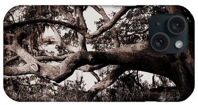 The Old Tree At The Ashley River In Charleston iPhone Cases