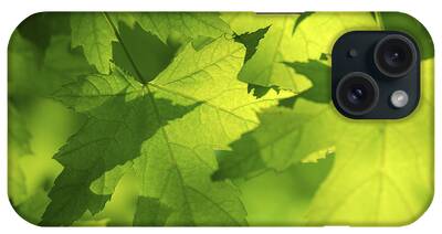 Leaf Vein iPhone Cases
