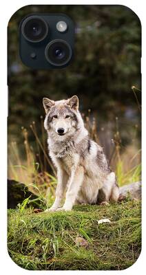 Alaska Wildlife Conservation Center iPhone Cases