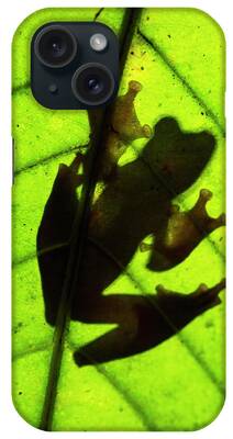 Harlequin Frog iPhone Cases