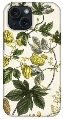 Beer Brewing iPhone Cases